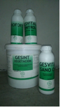gesintal