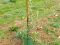 DSCN0798