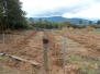Obras