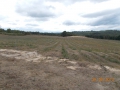 DSCN0196