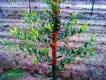 IMG-20121116-WA0003