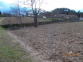 DSCN0566