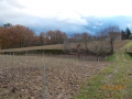 DSCN0567