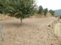 DSCN0106