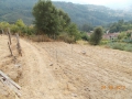 DSCN0119