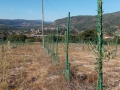 DSCN0043