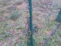 IMG-20140124-WA0010