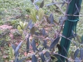 IMG-20140124-WA0014
