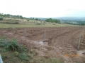 DSCN0264