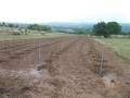 DSCN0265