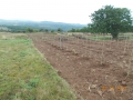 DSCN0269